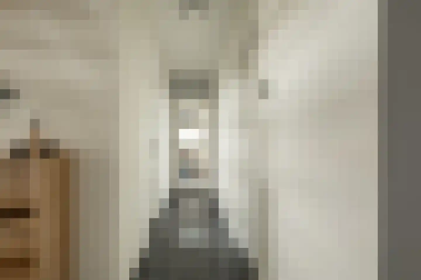 Braakmanlaan 28 Biervliet thumbnail 19