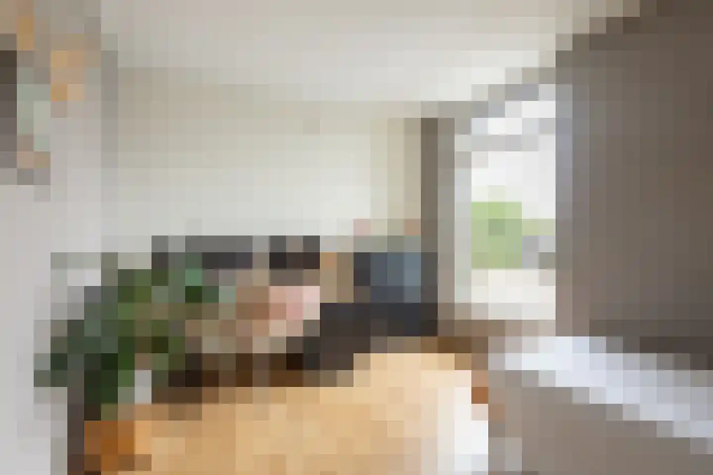Braakmanlaan 28 Biervliet thumbnail 21