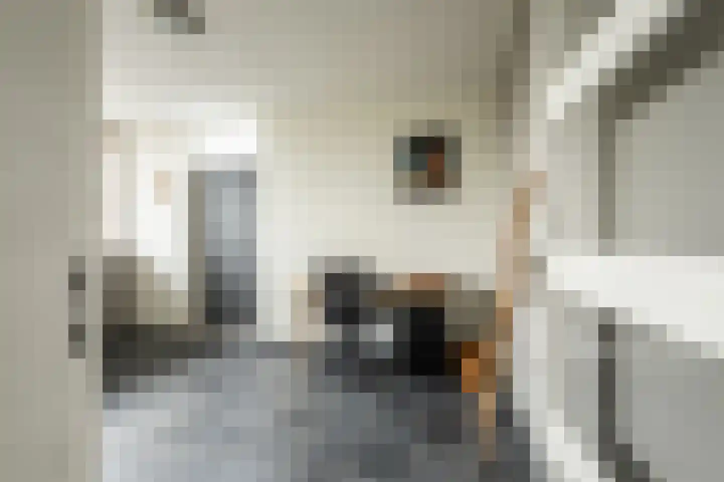 Braakmanlaan 28 Biervliet thumbnail 22