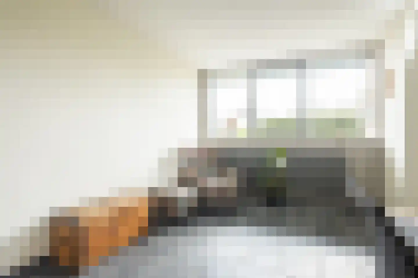 Braakmanlaan 28 Biervliet thumbnail 23