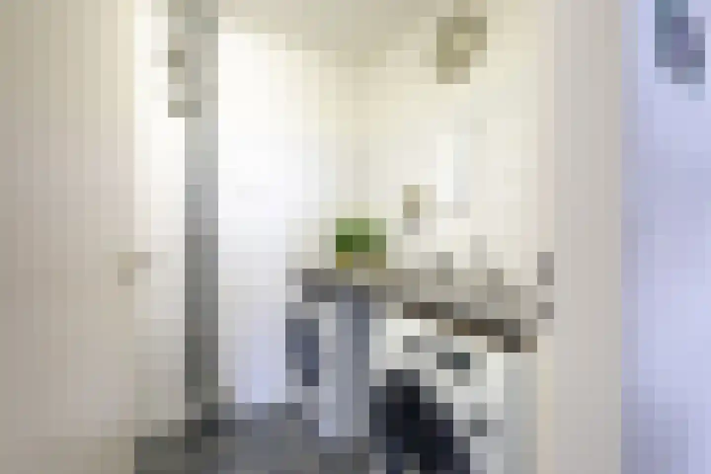 Braakmanlaan 28 Biervliet thumbnail 29