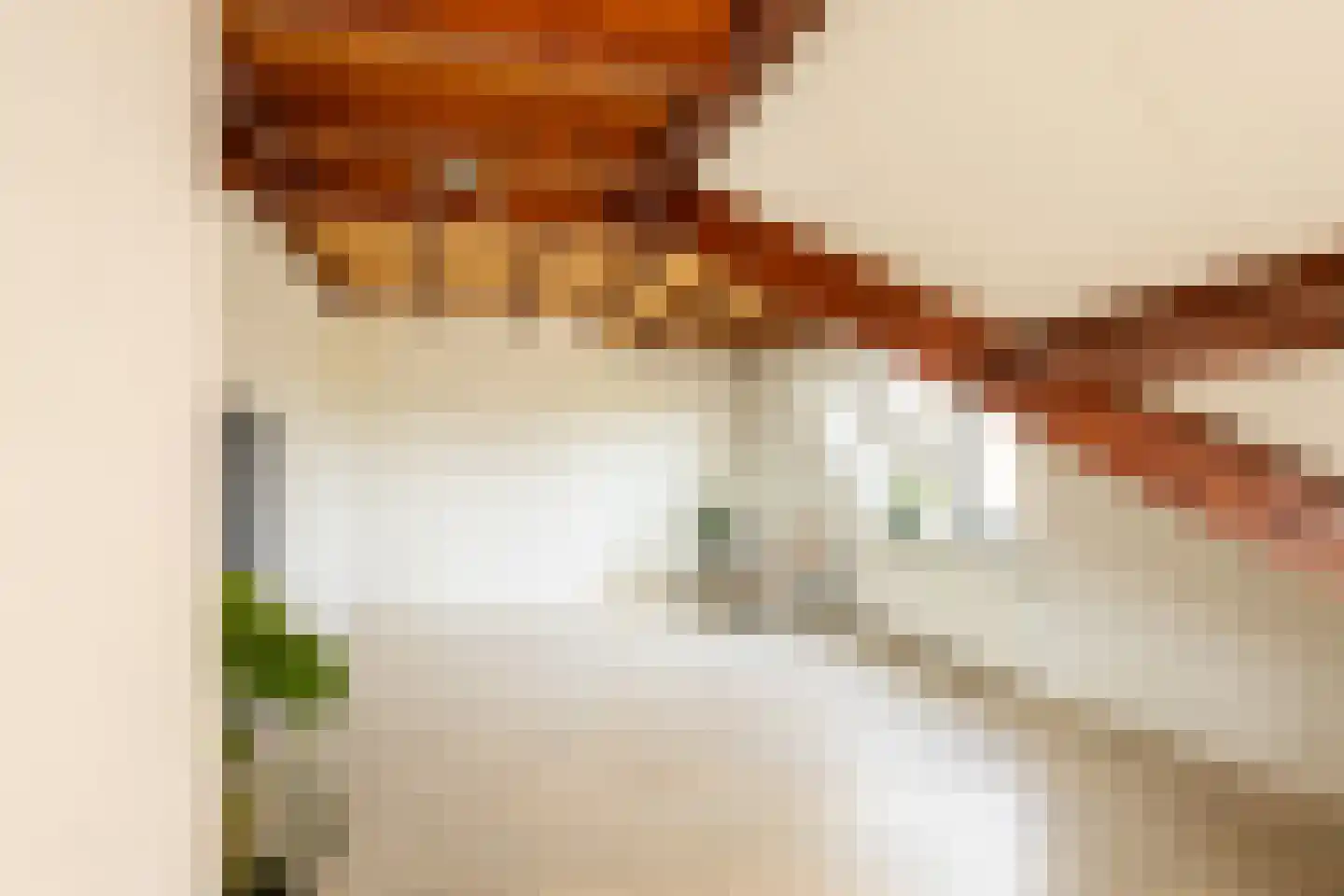 Braakmanlaan 28 Biervliet thumbnail 38