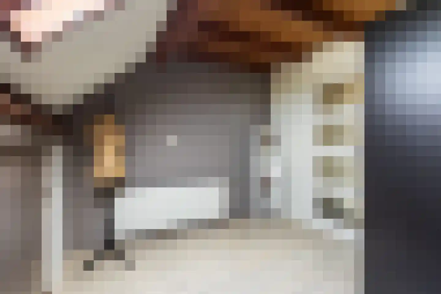 Braakmanlaan 28 Biervliet thumbnail 43