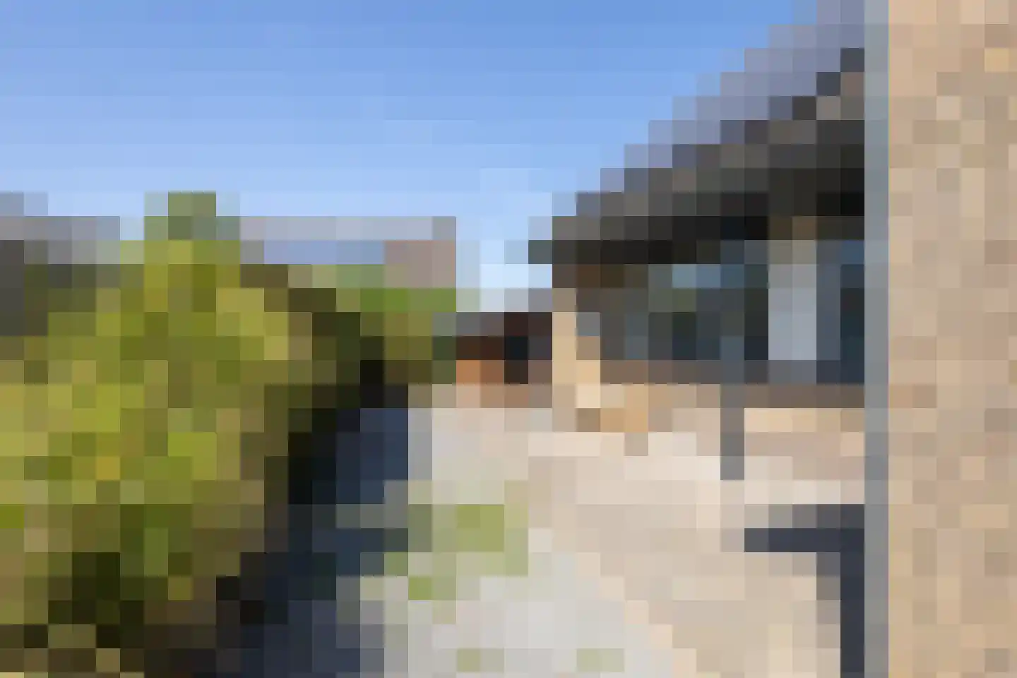 Braakmanlaan 28 Biervliet thumbnail 45