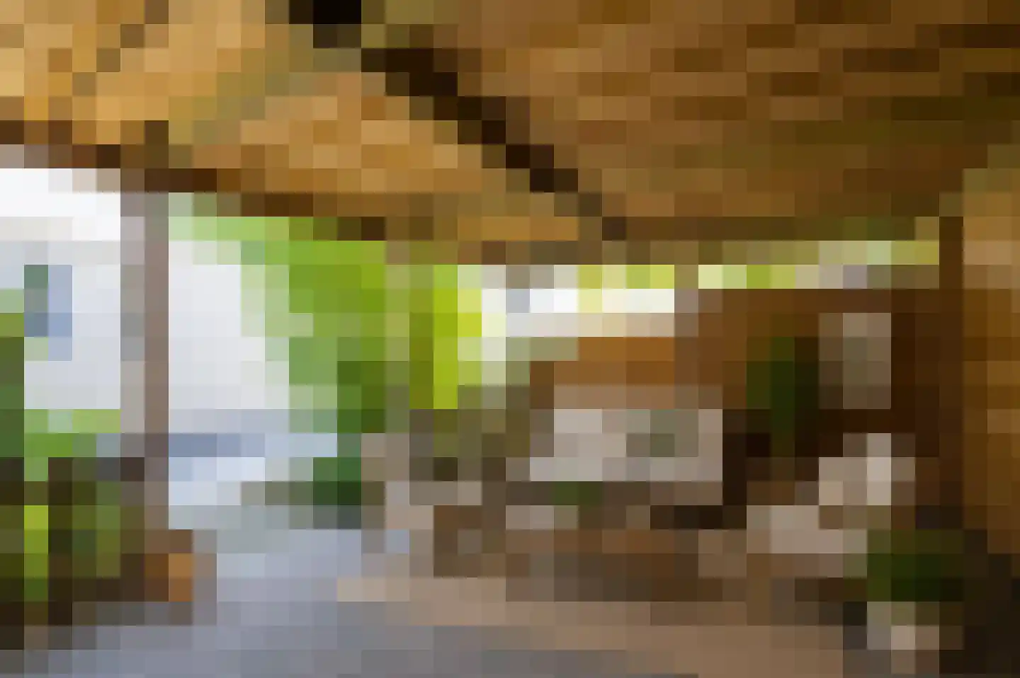 Braakmanlaan 28 Biervliet thumbnail 47