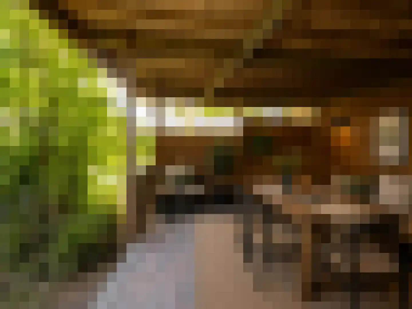 Braakmanlaan 28 Biervliet thumbnail 48