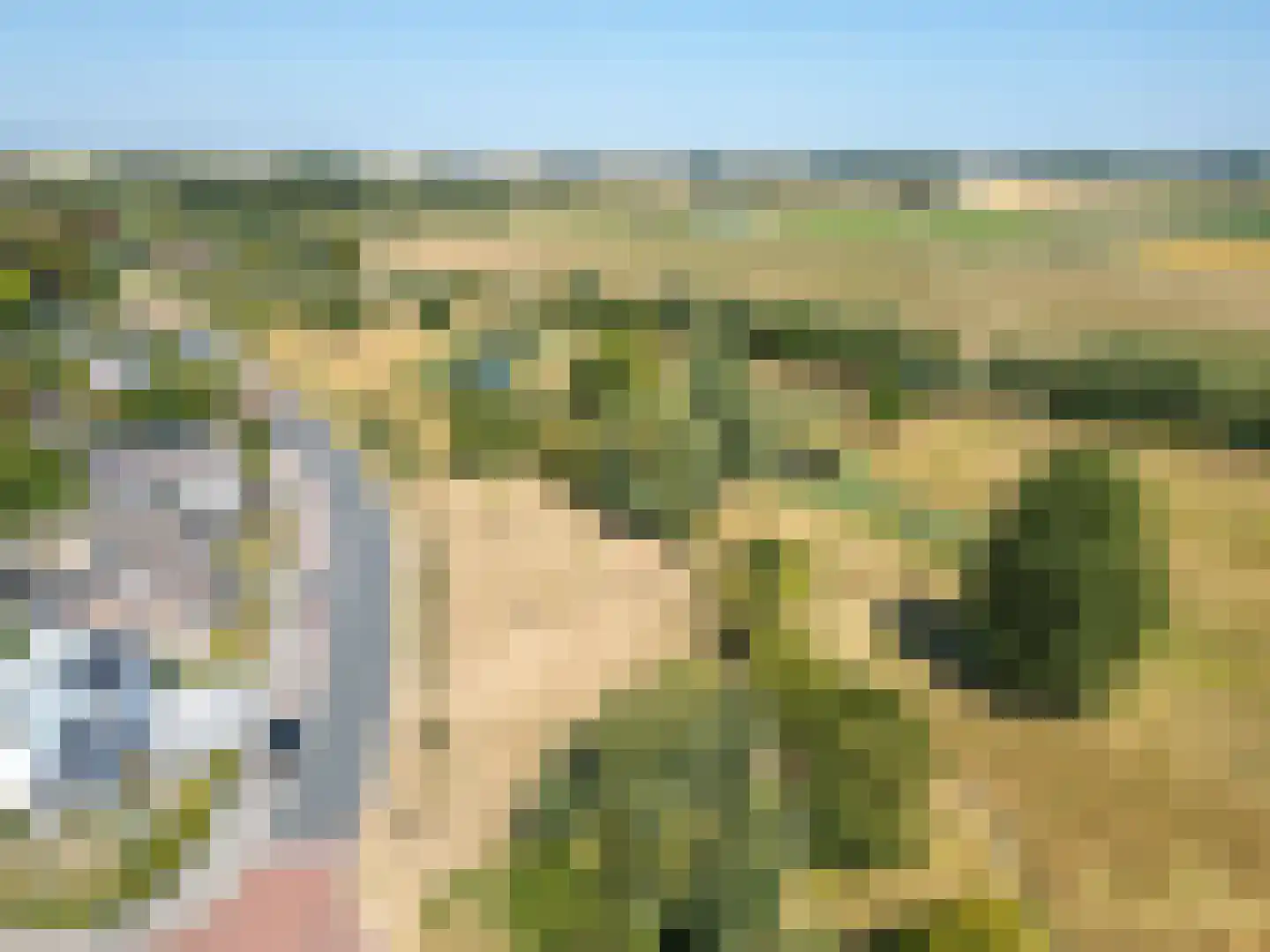 Braakmanlaan 28 Biervliet thumbnail 52