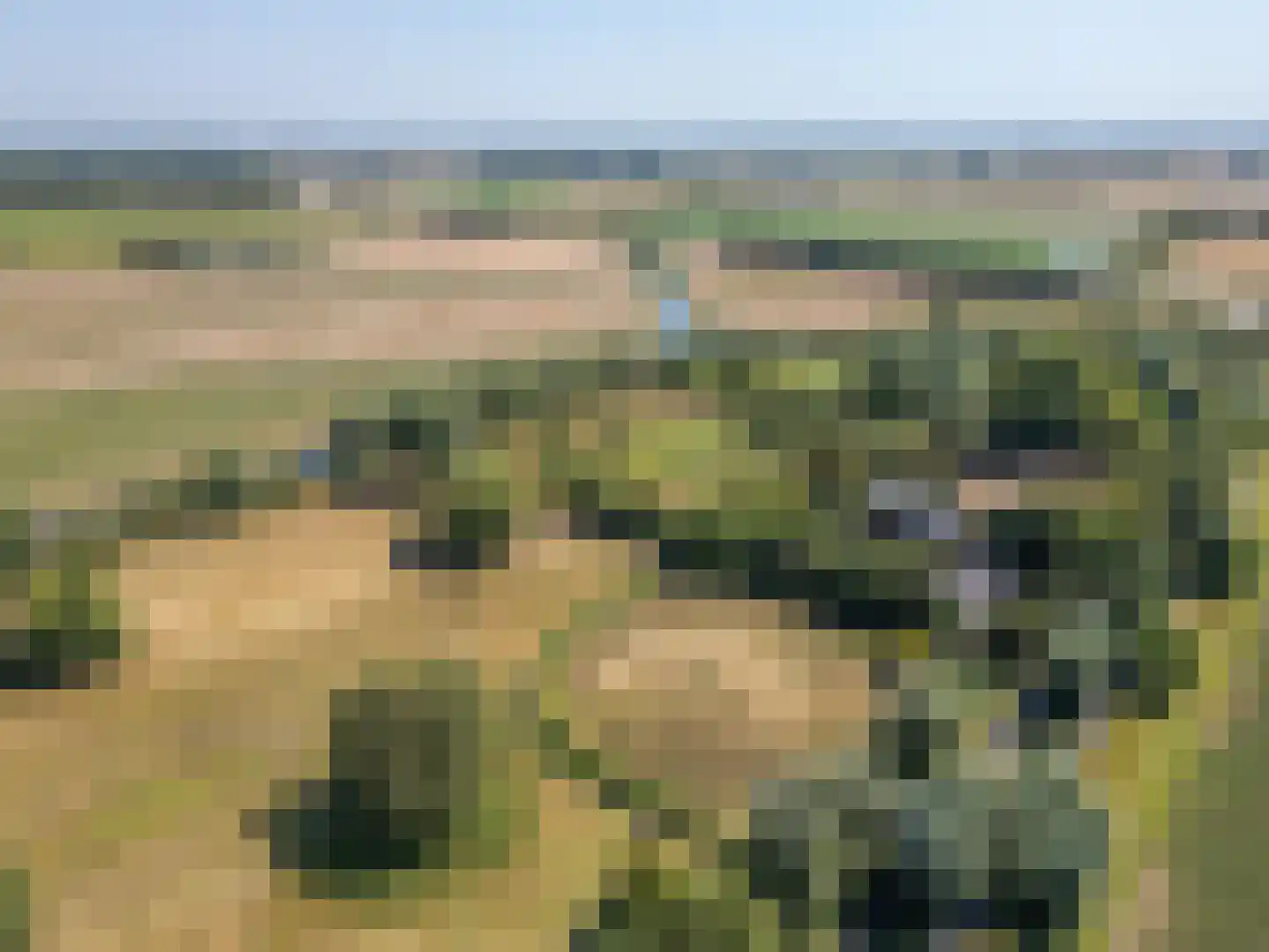 Braakmanlaan 28 Biervliet thumbnail 53