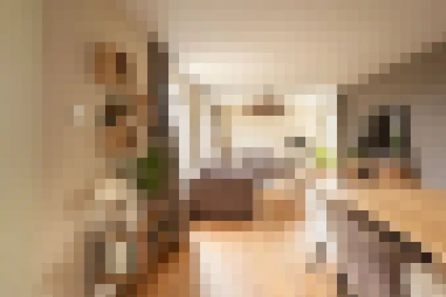 Braakmanlaan 28 Biervliet thumbnail 9