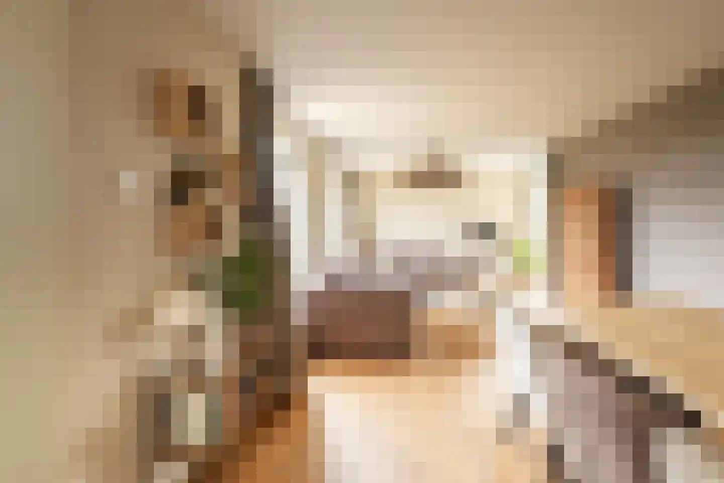 Braakmanlaan 28 Biervliet thumbnail 9