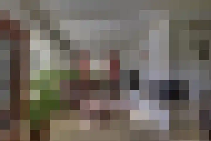 Braakmansdijk 130 Rijssen thumbnail 10
