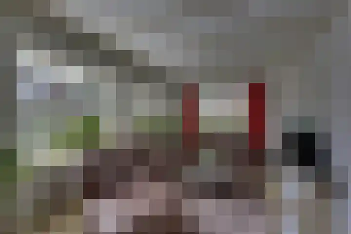 Braakmansdijk 130 Rijssen thumbnail 11