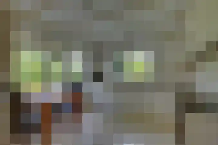 Braakmansdijk 130 Rijssen thumbnail 13