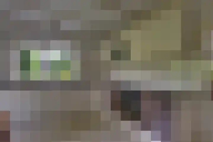 Braakmansdijk 130 Rijssen thumbnail 14