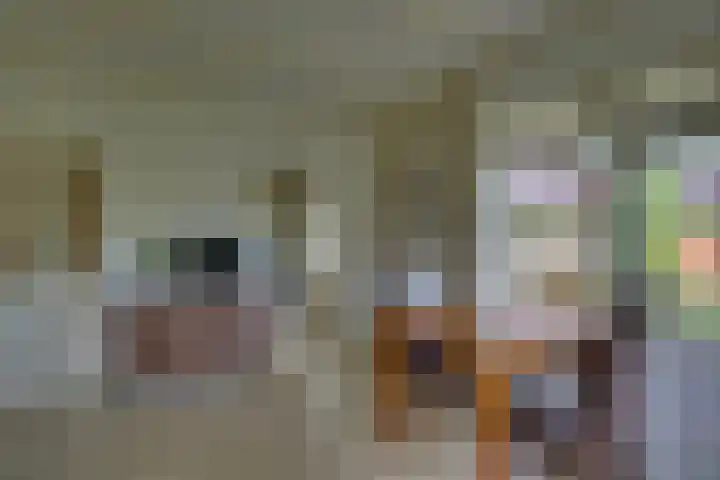Braakmansdijk 130 Rijssen thumbnail 15