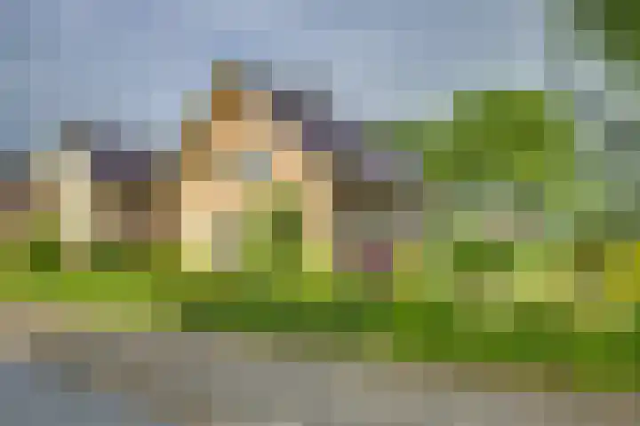 Braakmansdijk 130 Rijssen foto 2