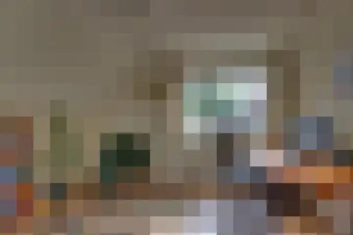 Braakmansdijk 130 Rijssen thumbnail 20