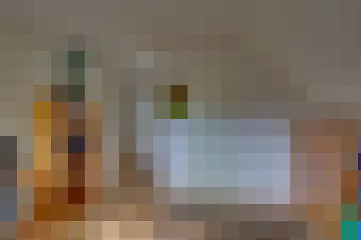 Braakmansdijk 130 Rijssen thumbnail 21