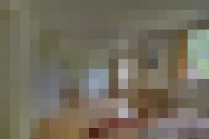 Braakmansdijk 130 Rijssen thumbnail 23