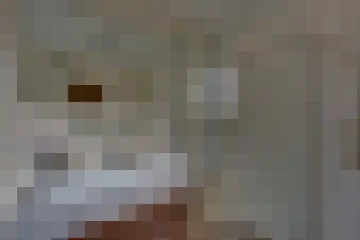 Braakmansdijk 130 Rijssen thumbnail 26