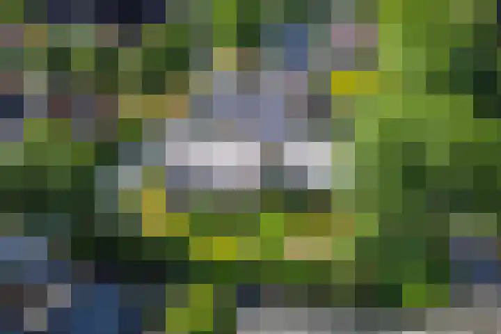 Braakmansdijk 130 Rijssen thumbnail 27