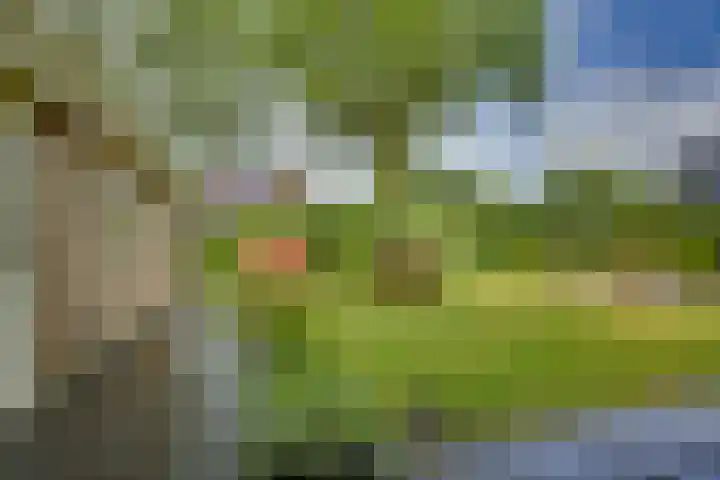 Braakmansdijk 130 Rijssen thumbnail 28