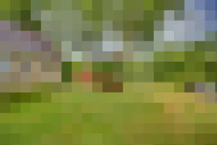 Braakmansdijk 130 Rijssen thumbnail 29