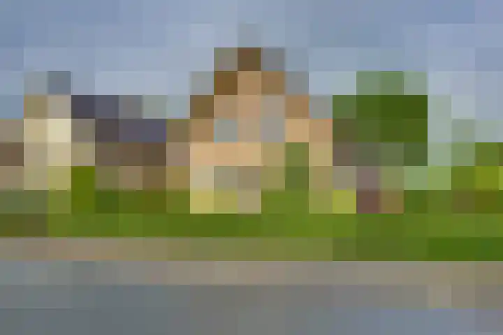 Braakmansdijk 130 Rijssen foto 3