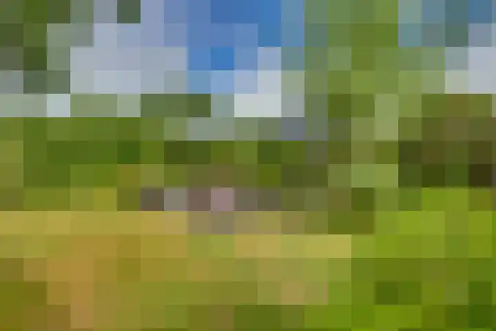 Braakmansdijk 130 Rijssen thumbnail 30