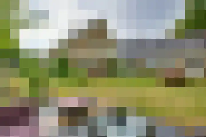 Braakmansdijk 130 Rijssen thumbnail 31