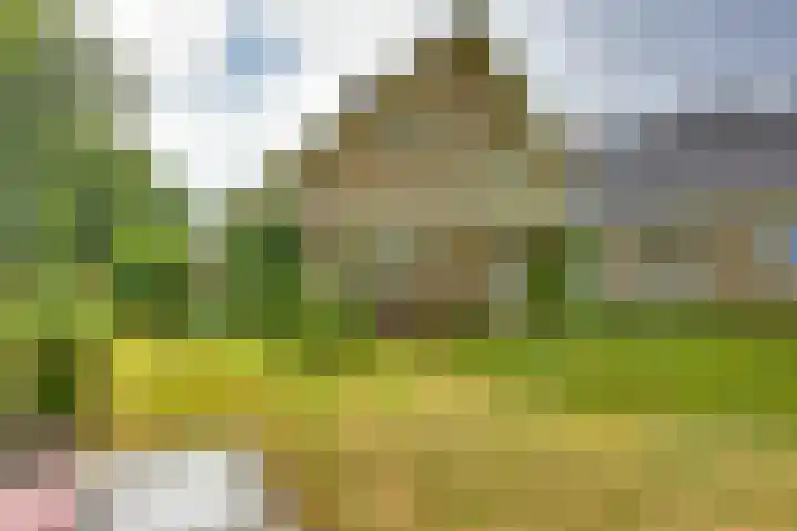 Braakmansdijk 130 Rijssen thumbnail 32