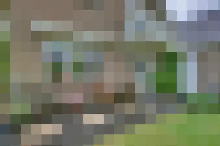 Braakmansdijk 130 Rijssen thumbnail 33