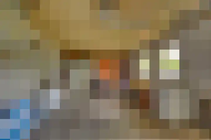 Braakmansdijk 130 Rijssen thumbnail 36