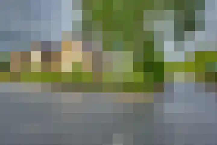 Braakmansdijk 130 Rijssen thumbnail 38