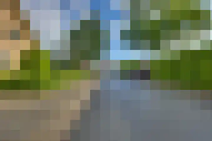 Braakmansdijk 130 Rijssen thumbnail 39