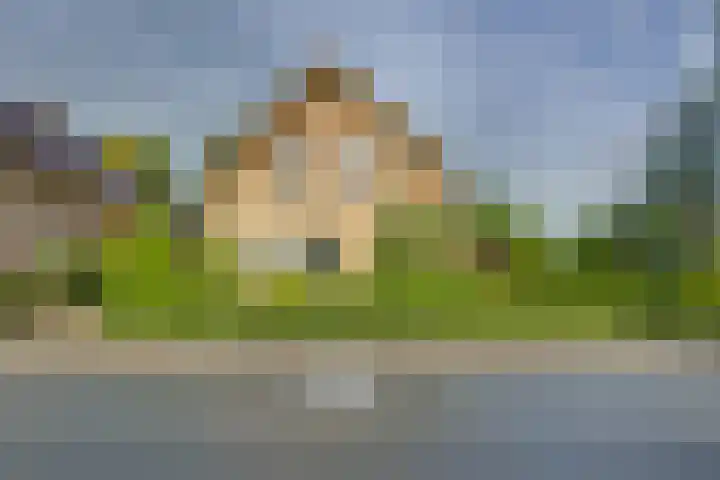 Braakmansdijk 130 Rijssen thumbnail 4
