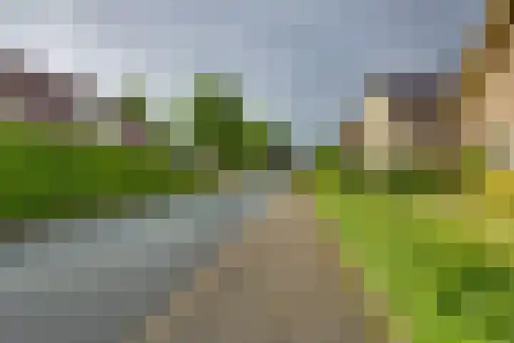 Braakmansdijk 130 Rijssen thumbnail 40