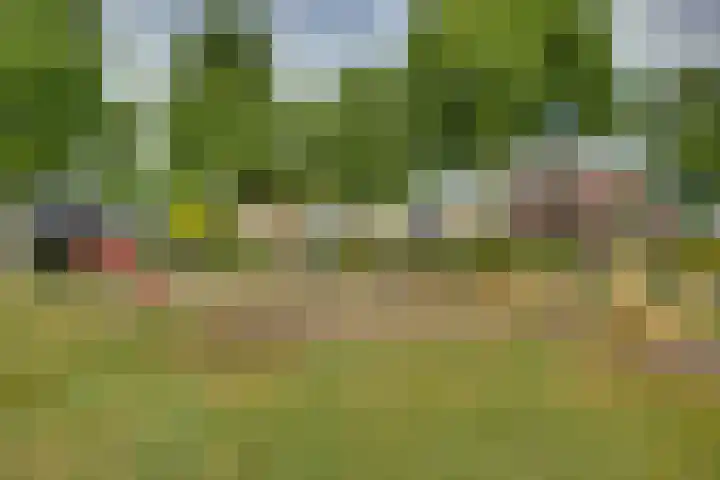 Braakmansdijk 130 Rijssen thumbnail 41