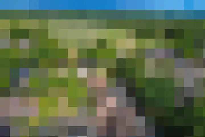 Braakmansdijk 130 Rijssen thumbnail 42