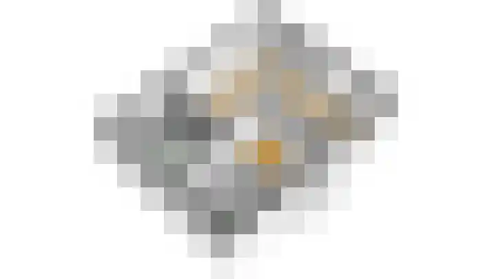 Braakmansdijk 130 Rijssen thumbnail 44