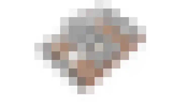Braakmansdijk 130 Rijssen thumbnail 48