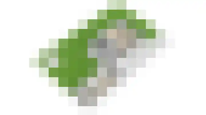 Braakmansdijk 130 Rijssen thumbnail 59