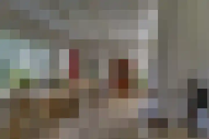 Braakmansdijk 130 Rijssen thumbnail 8