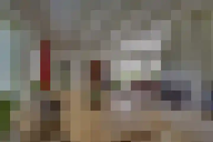Braakmansdijk 130 Rijssen thumbnail 9