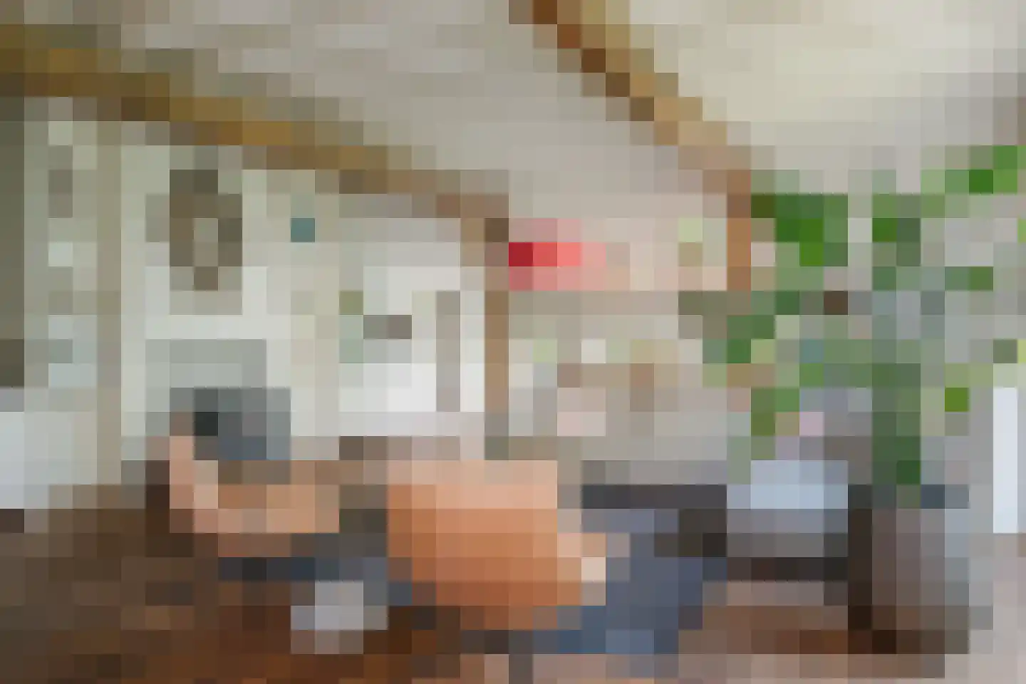Braakmanssteeg 3 A Bathmen thumbnail 14