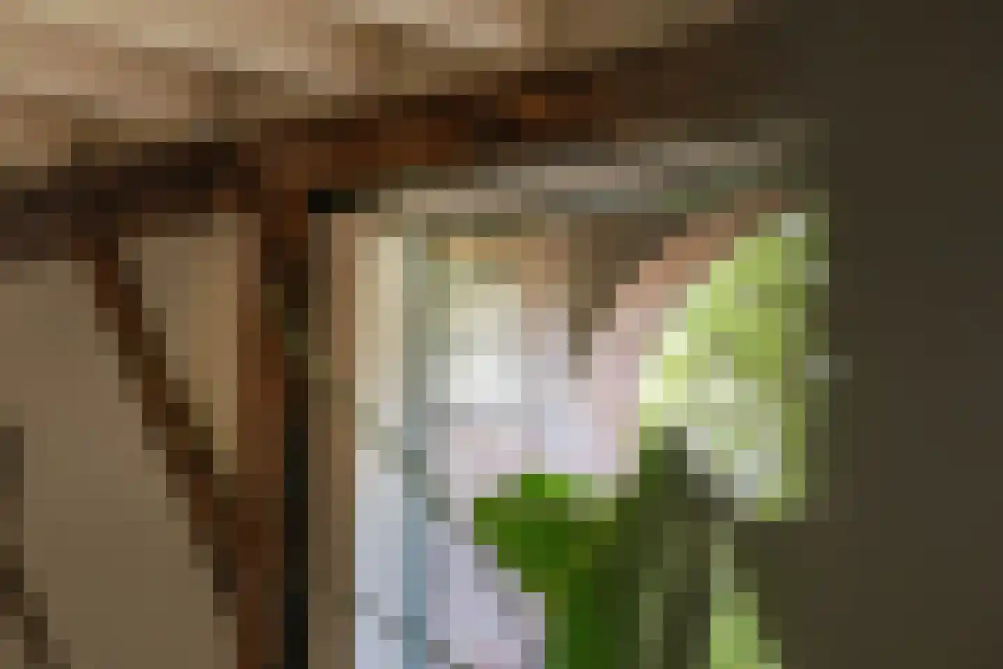 Braakmanssteeg 3 A Bathmen thumbnail 16