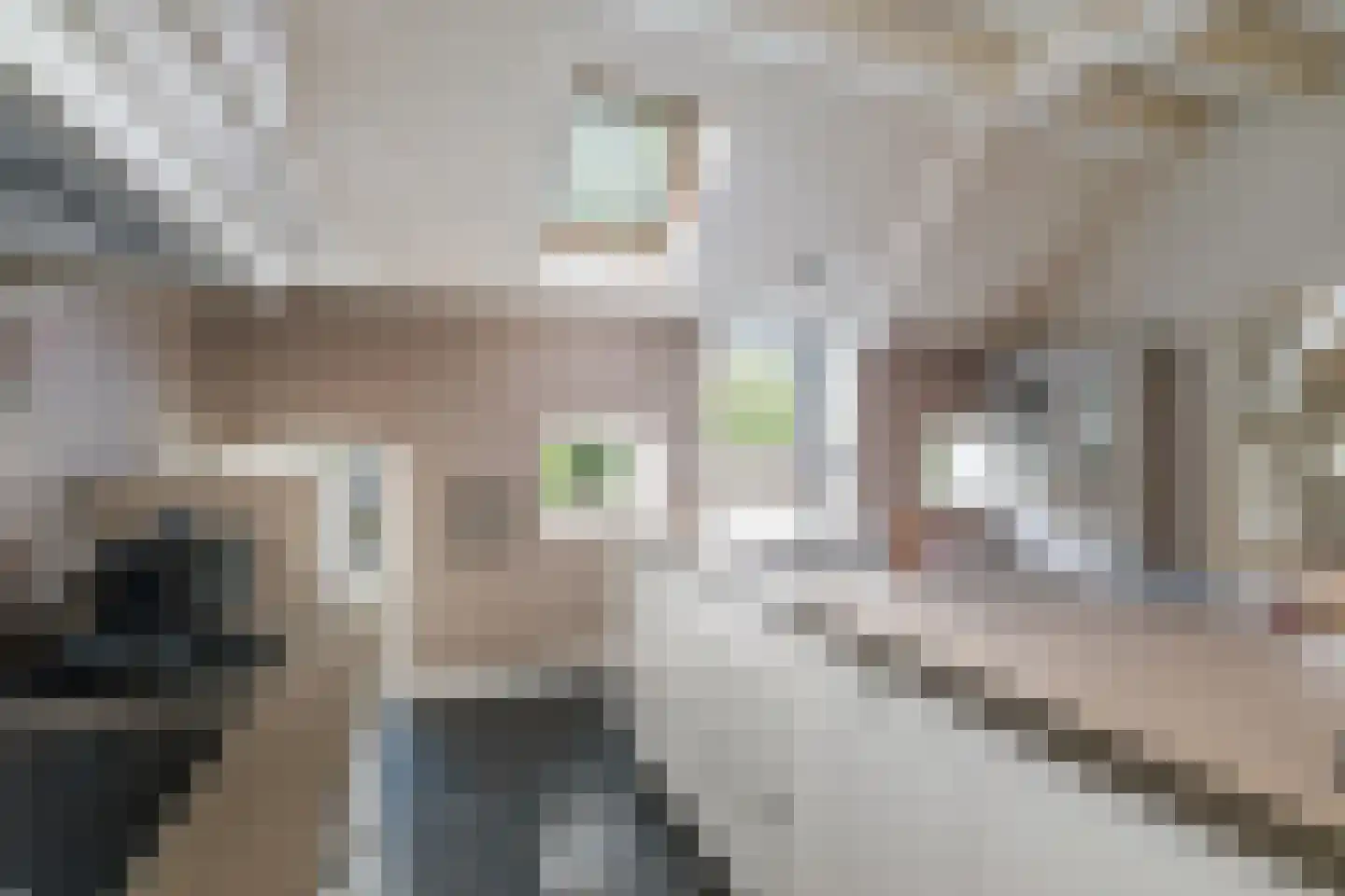 Braakmanssteeg 3 A Bathmen thumbnail 17