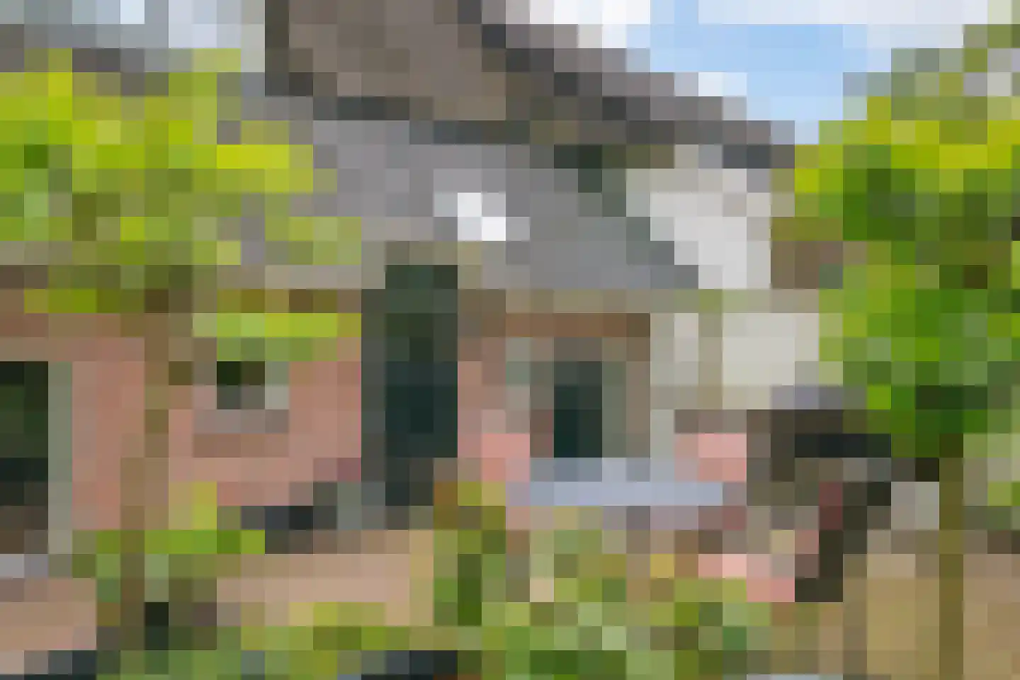 Braakmanssteeg 3 A Bathmen thumbnail 26