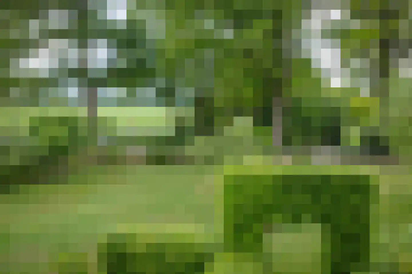 Braakmanssteeg 3 A Bathmen thumbnail 44
