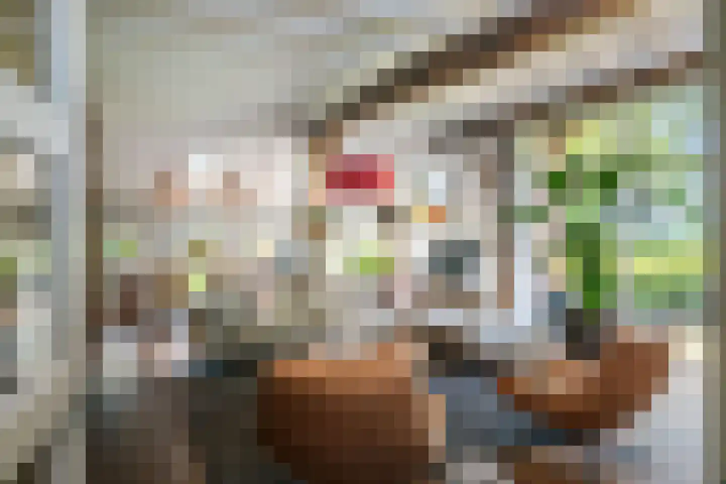 Braakmanssteeg 3 A Bathmen thumbnail 9